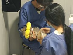-半岛宠物医院24小时(科华中路店)