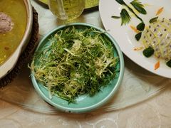-丁老爷子苏香圆