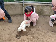 -前小桔亲子创意农场·草莓采摘·露营烧烤