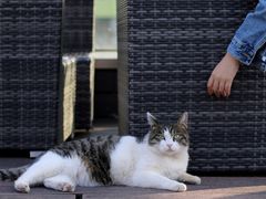 -UNIUNI(凯瑟琳广场店)