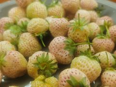 -喜家自助小火锅(卓悦里店)
