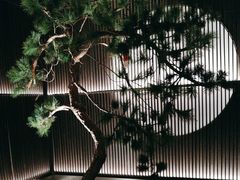 -大拙里·精致融合菜(沙湖桃源国际店)