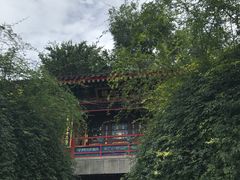 -眉州东坡(亚运村店)