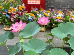 -万寿八仙宫