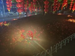 -南宁南湖公园