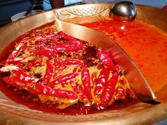 -小龙坎火锅(IFS HOT店)