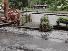 -老船夫石锅苗苗鱼·老字号(三道堰总店)