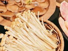 -季季山·云南野生菌火锅(上海首店)
