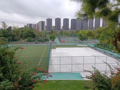 -东岳体育公园