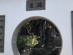 -苏州吴宫泛太平洋酒店