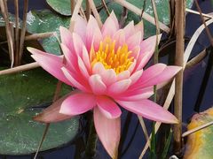 -华南国家植物园-售票处