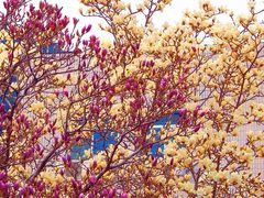 -山东大学(趵突泉校区)