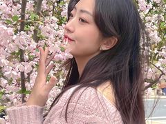 -太湖湖滨国家湿地公园-停车场