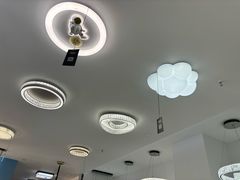 -张士灯具城(家居优选店)