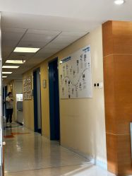 -杭州贝瑞斯美华妇儿医院·早孕·产检·儿科