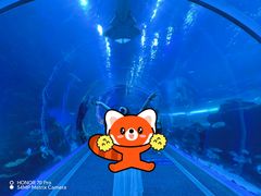 -成都浩海立方海洋公园