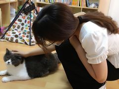 -猫音日语留学培训