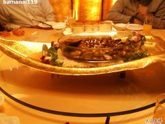 手机拍照-一帆鲈鱼1-商都酒店( 北京南站店)