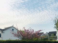 -龙寺生态园