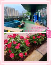 -可可天空农场(中大店)