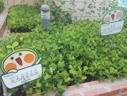 -梦田都市农场(银泰城店)
