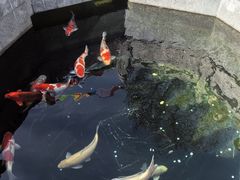 -西安市广仁寺