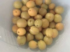 -新盈光·旗舰店(海曙苍松路店)