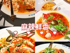 -坛宗剁椒鱼头(河西王府井店)