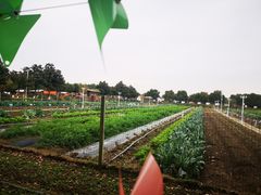 -上膳源有机农场