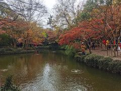 -秋霞圃