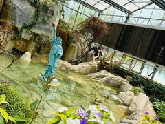 -南宫五洲植物乐园