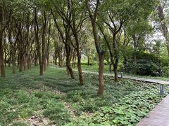 -澹台湖公园