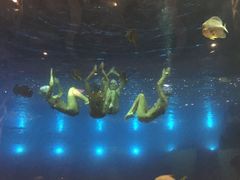 -瑞德姆美人鱼海底演艺主题餐厅(亚龙湾店)