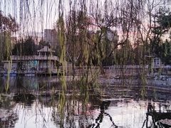 -黄村公园