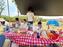 -春花秋色城市公园