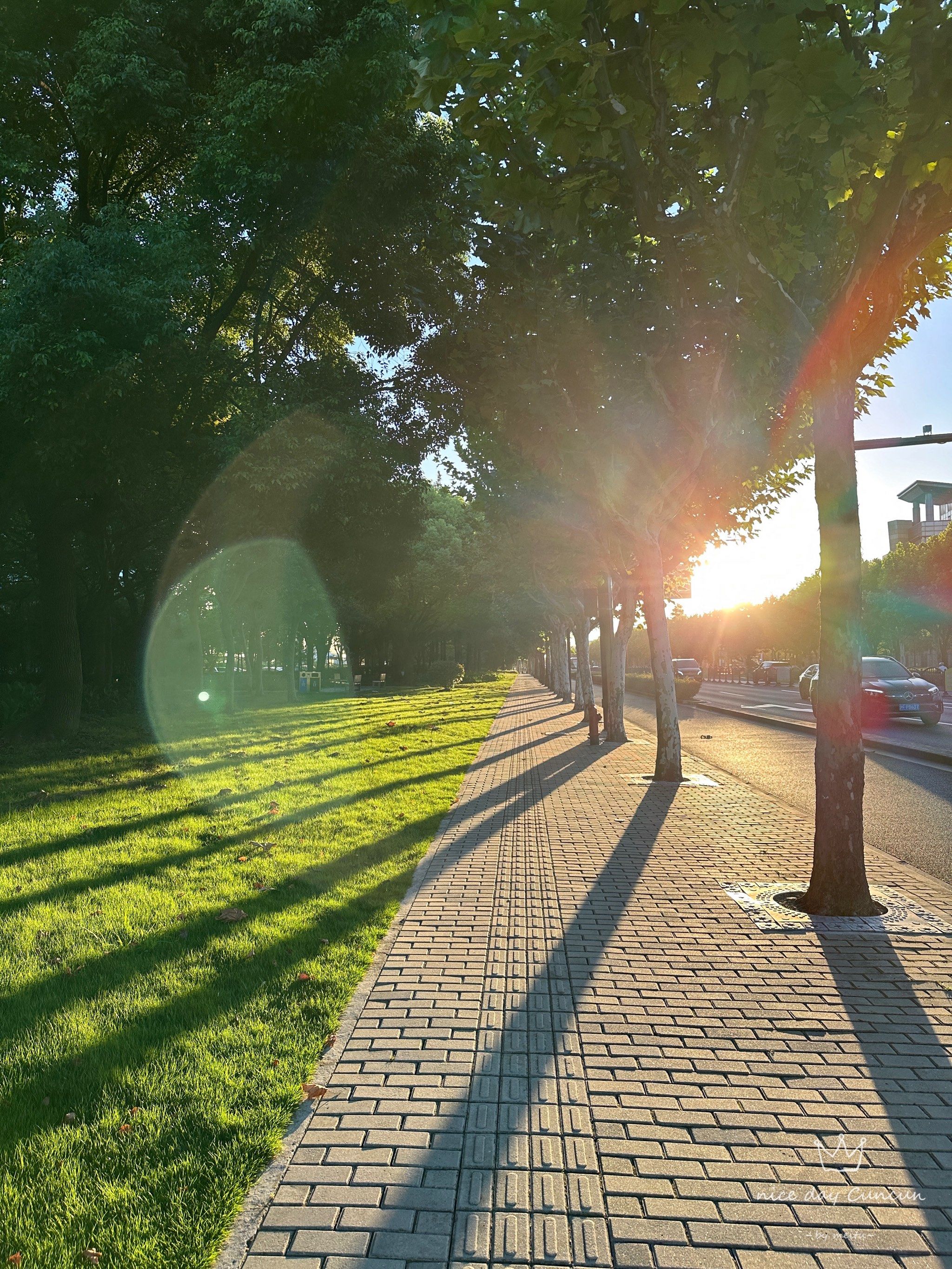 黄昏 #分享治愈系风景 
黄昏落日时分仍带有余威的阳光,晃得人有点