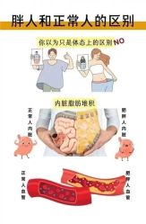 -薇薇安花系SPA
