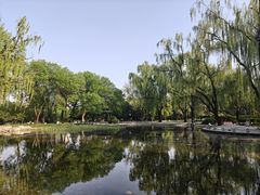 -玲珑塔公园