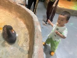 -Zoolung Zoolung动物主题公园(海信广场店)