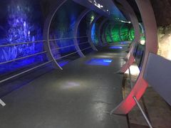 -中国西峡恐龙遗迹园