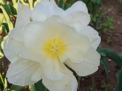 -石家庄市植物园