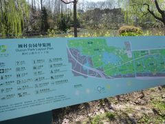 -顾村公园