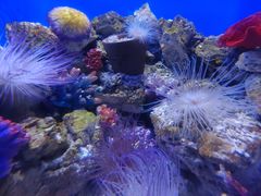 -海合安武汉极地海洋公园