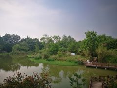 -桤木河湿地公园