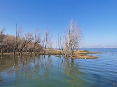 -洱海月湿地公园