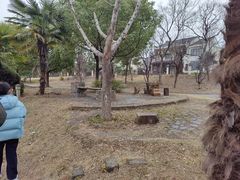 -杏花村文化旅游区