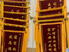 -康成宠物医院24H·CT·核磁共振