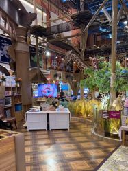 -卡通尼·Safari非洲探索乐园·生日会(金桥国际商业广场店)