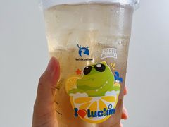 轻咖椰子水-瑞幸咖啡(重医附二院江南院区店)