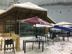 -哈尔滨热雪奇迹